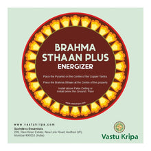 Load image into Gallery viewer, Brahmasthaan Plus Energizer