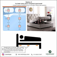 Load image into Gallery viewer, Roseate Aurex
